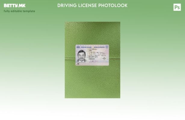 Модерен стил Молдавската возачка дозвола претставува преден шаблон со фото изгле